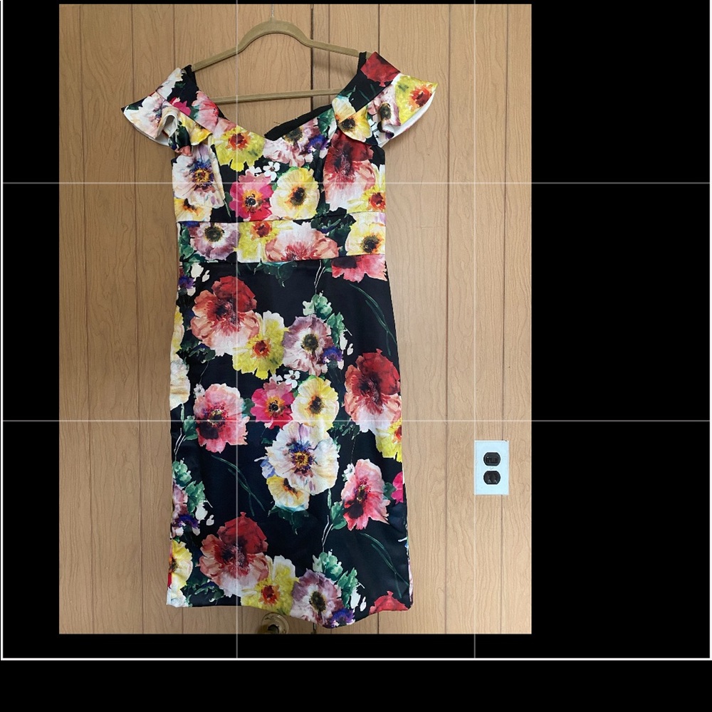David meister dress